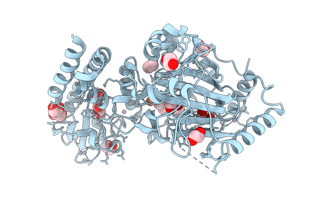 5A3P image