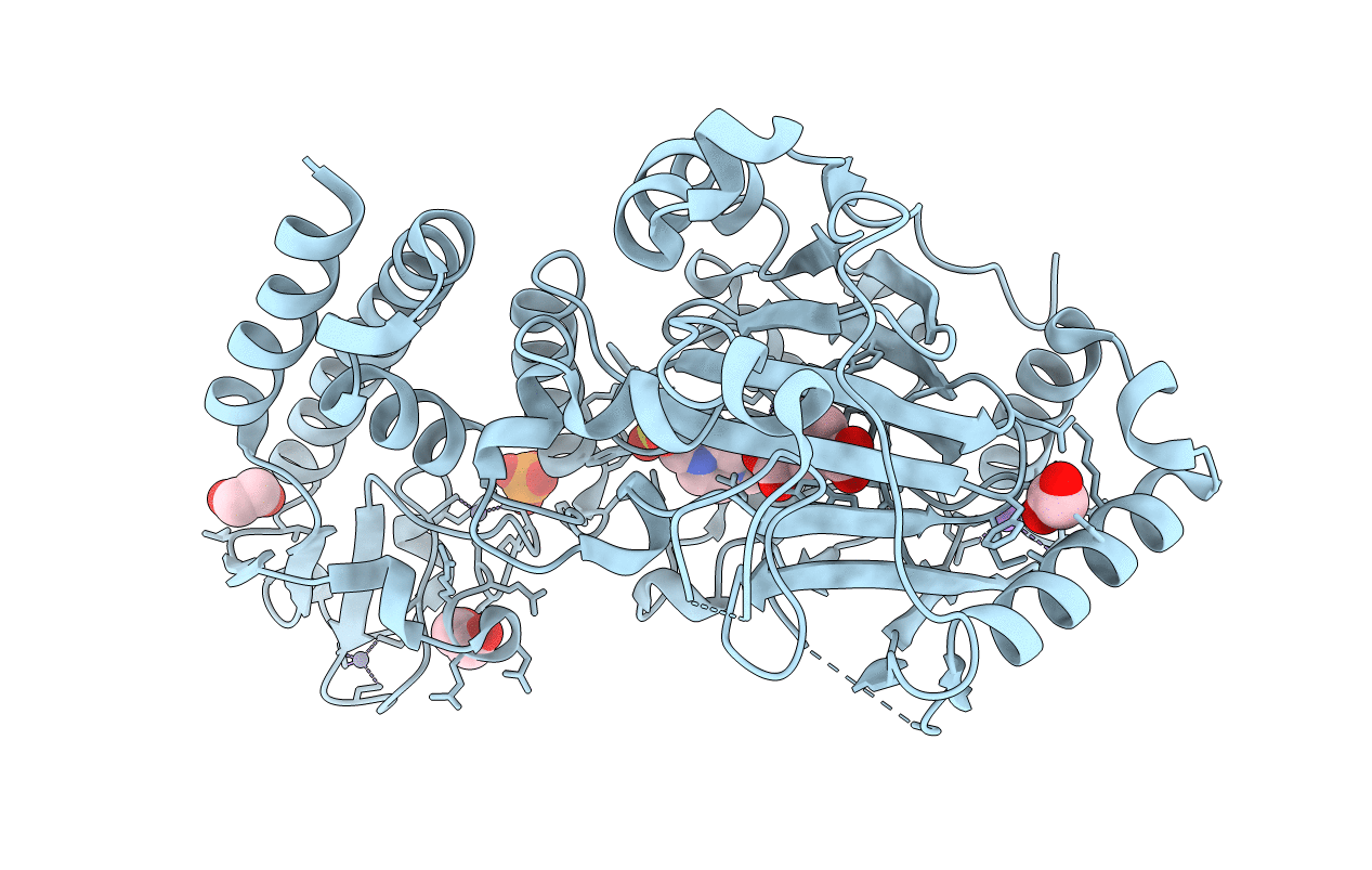 5A3W image