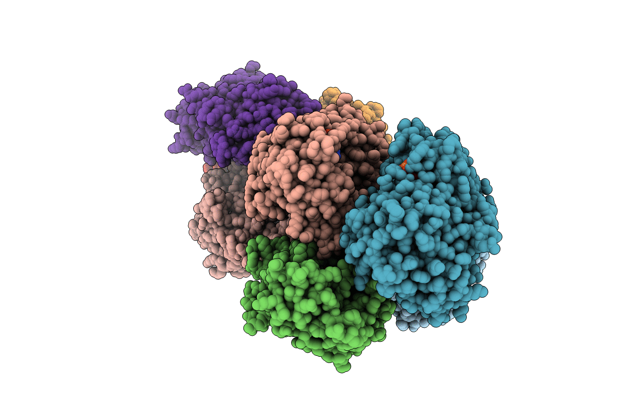 5A4D image