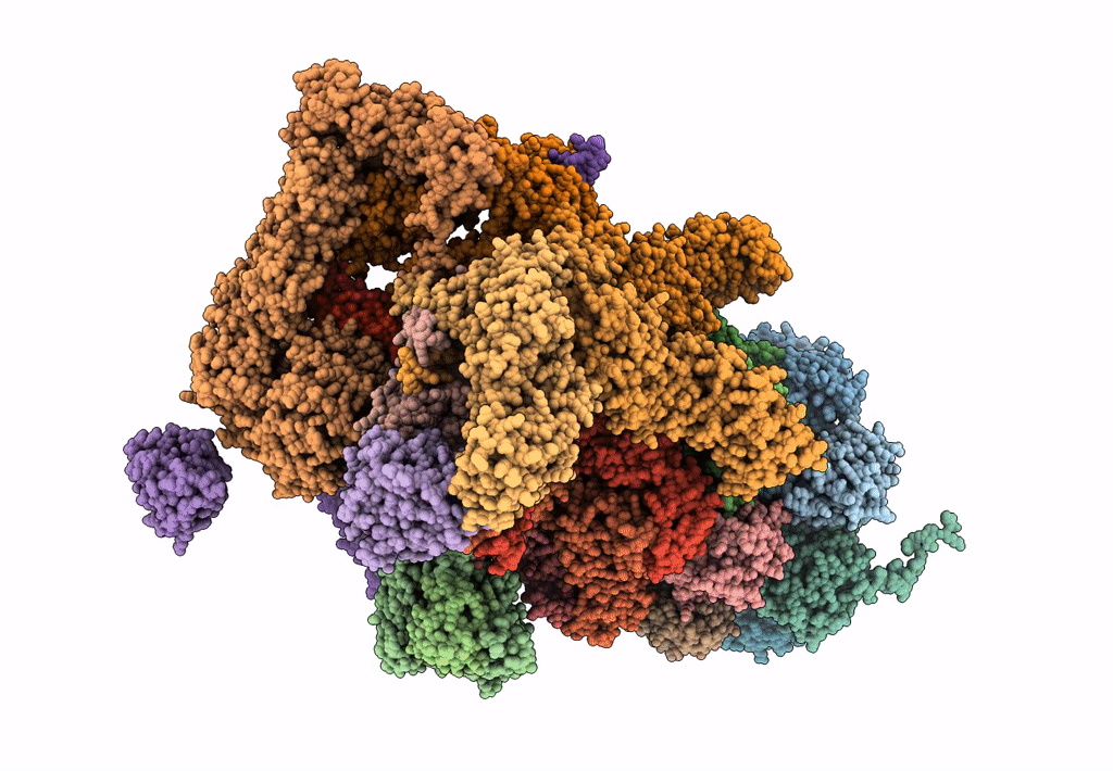 5A5B image