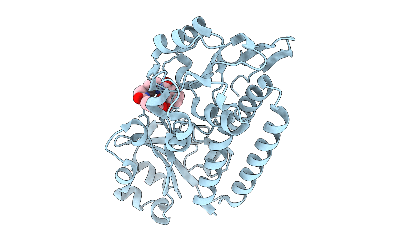5A5D image