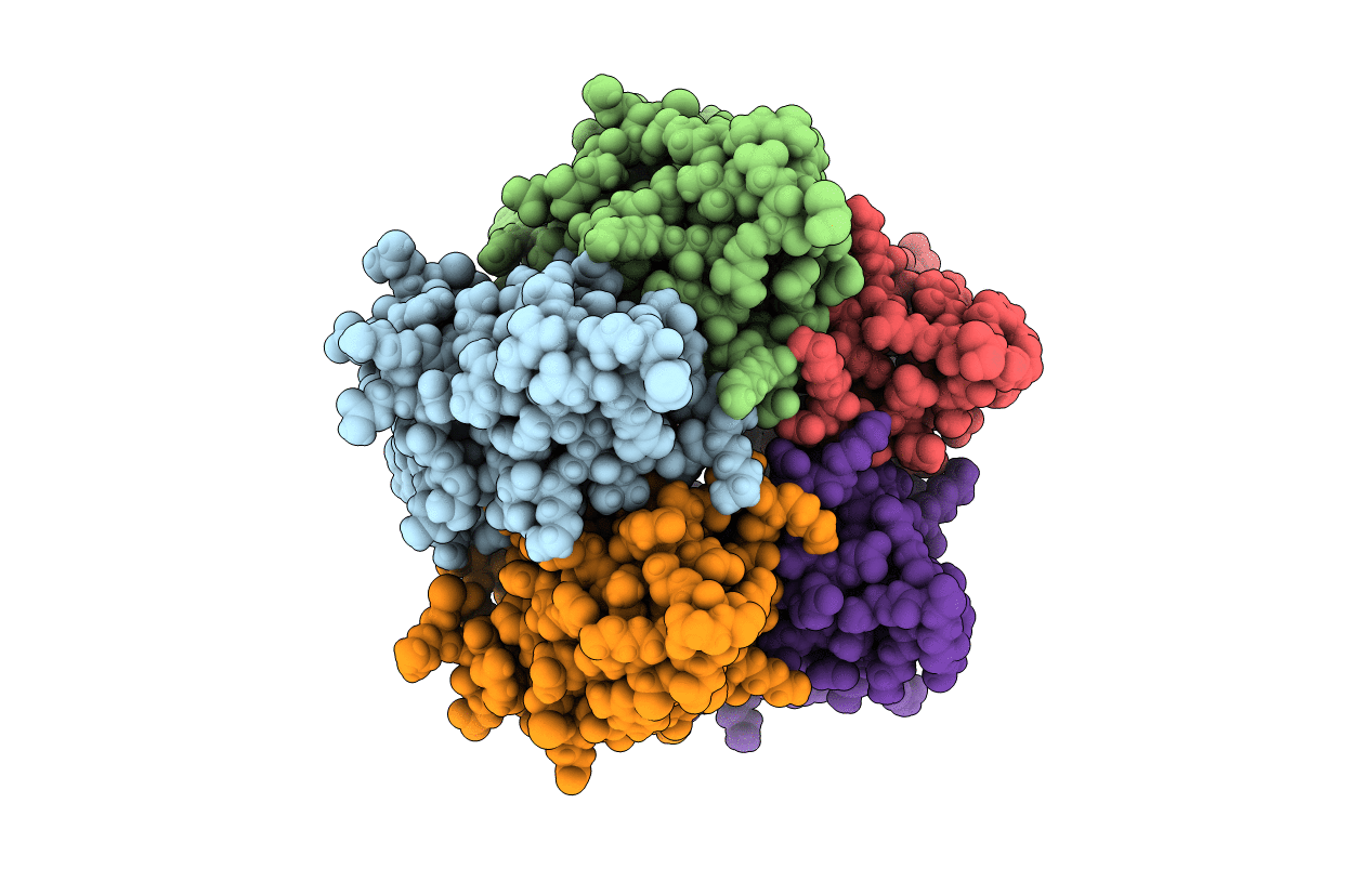5A6R image