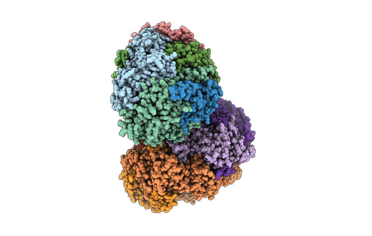 5A8R image