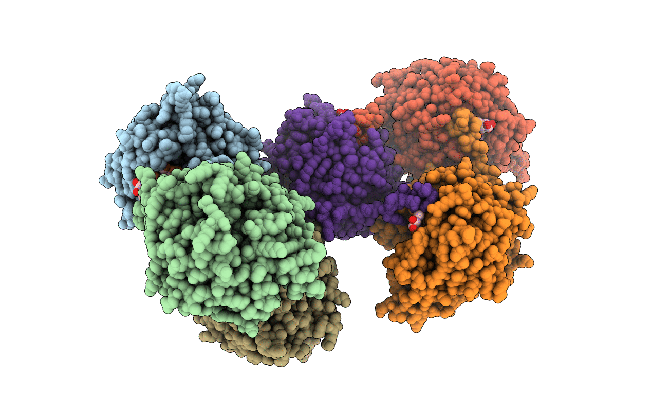 5A94 image