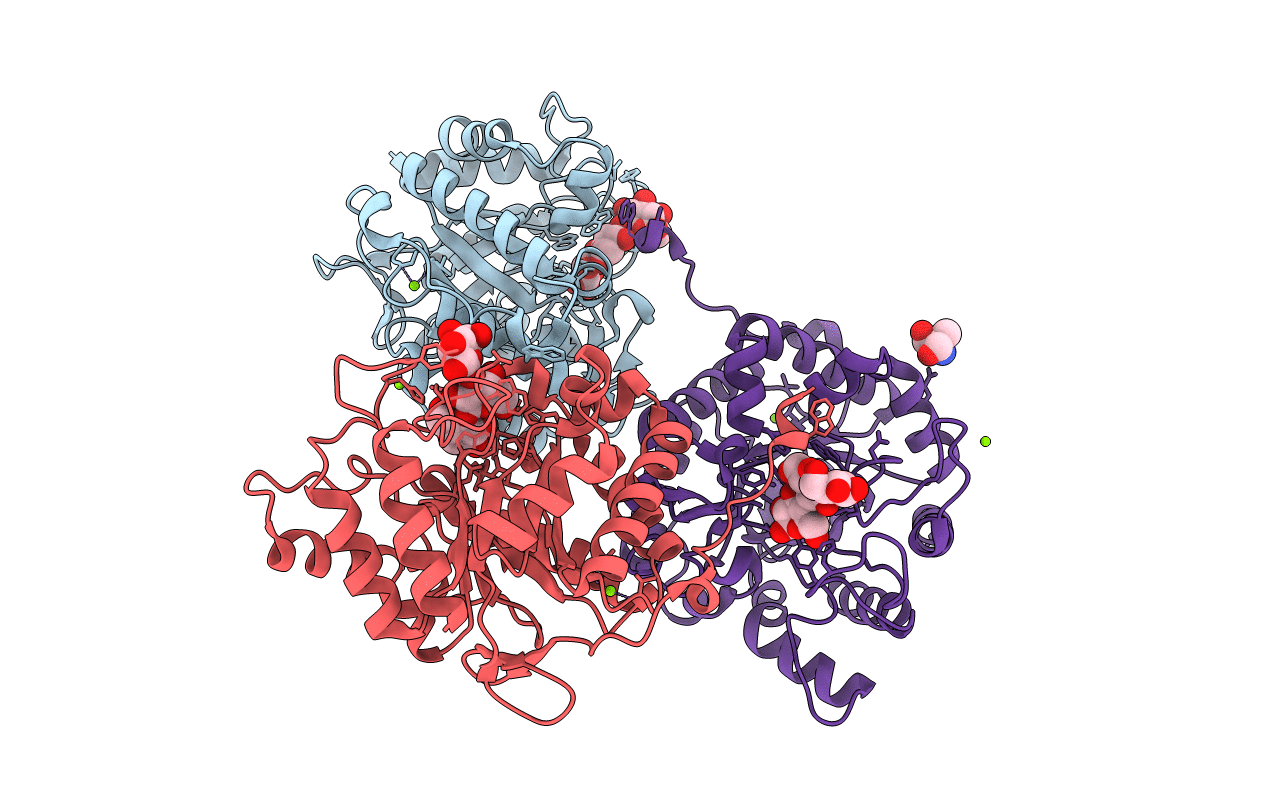 5A95 image
