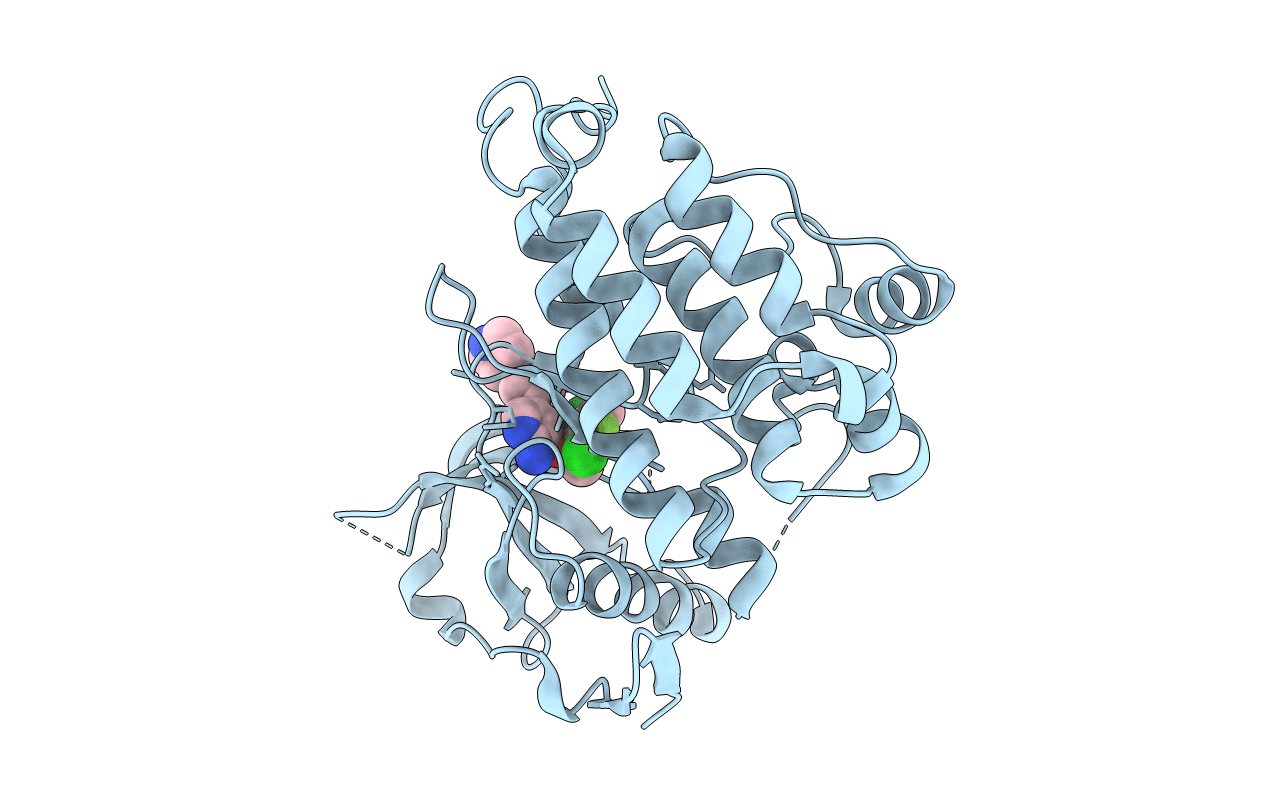 5AAB image