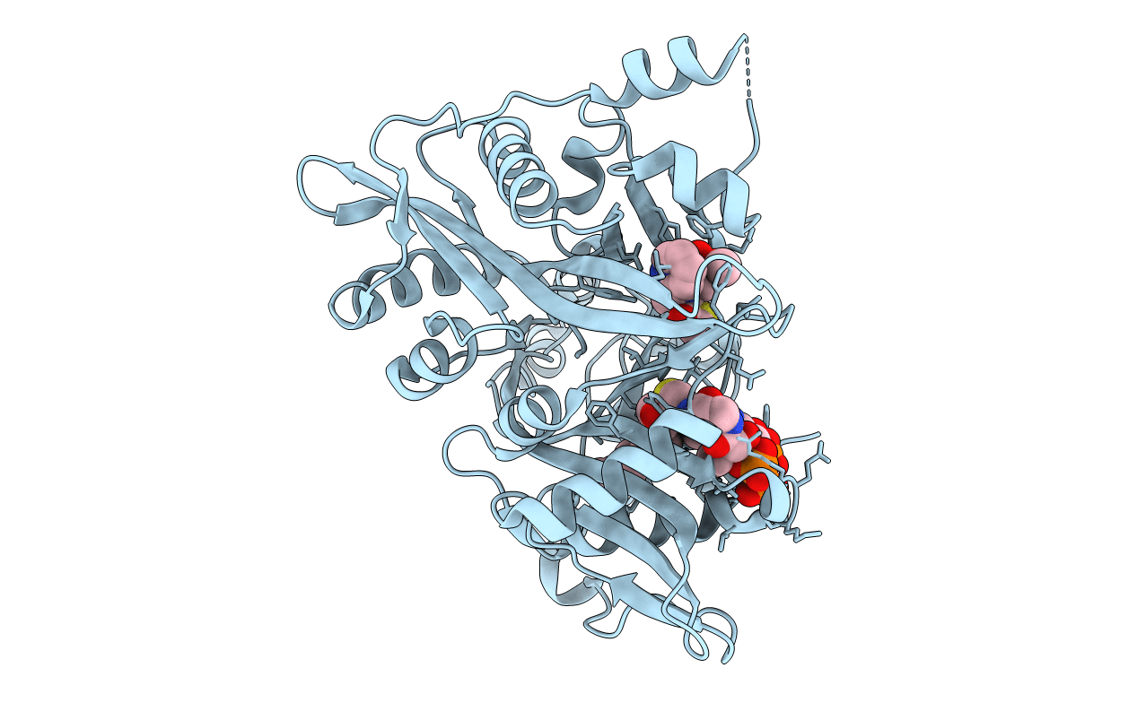 5AG6 image