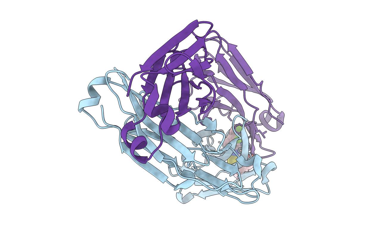 5ALC image