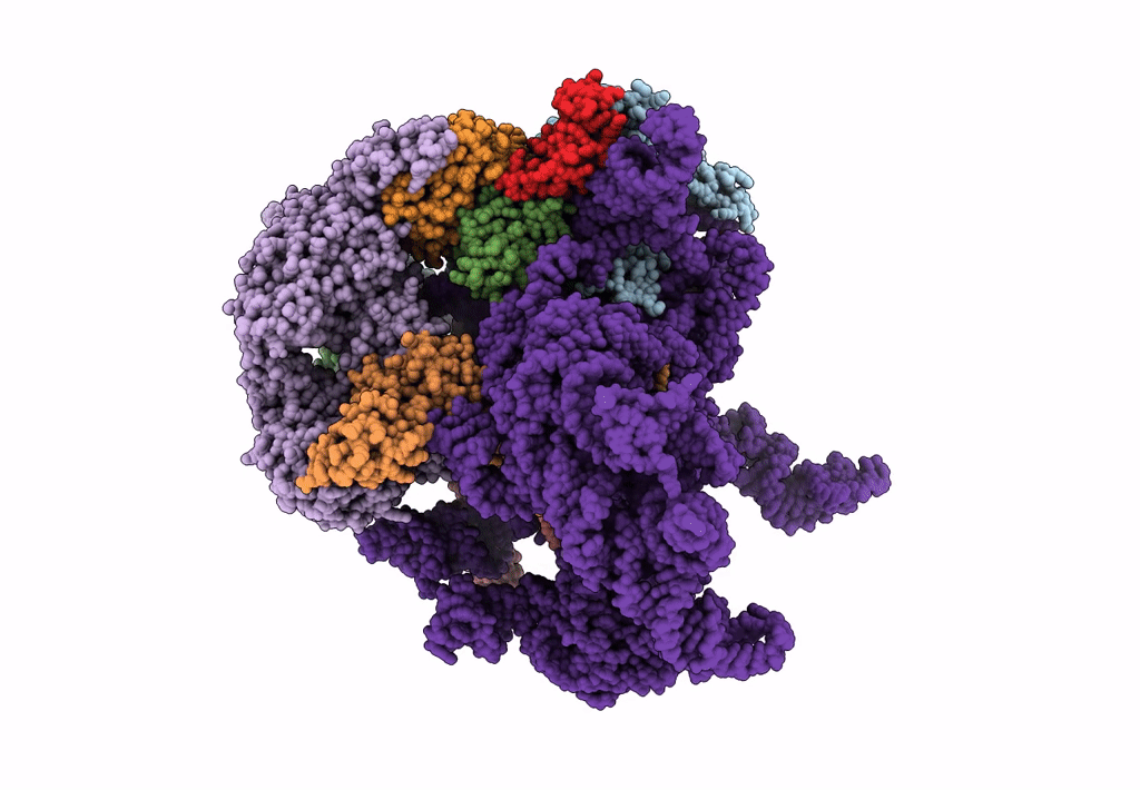 5ANB image