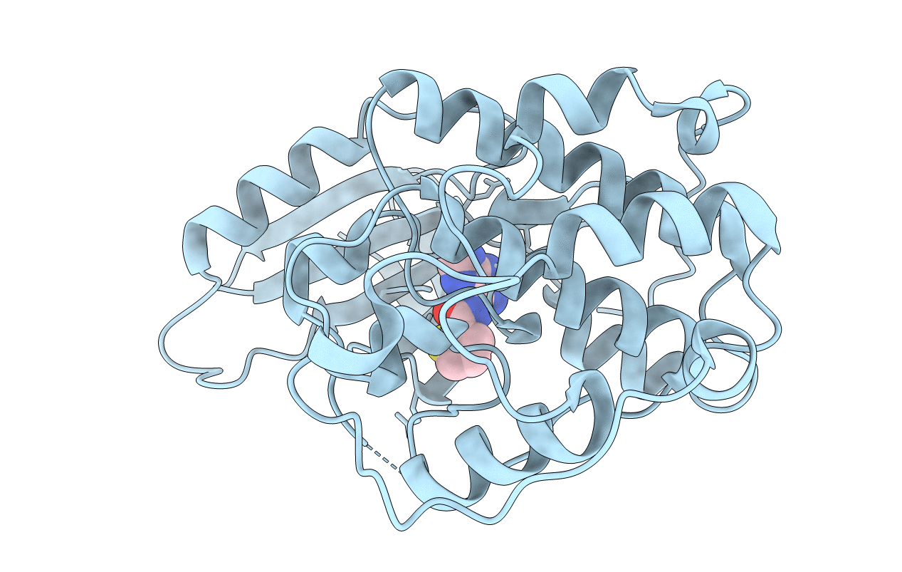 5ANJ image