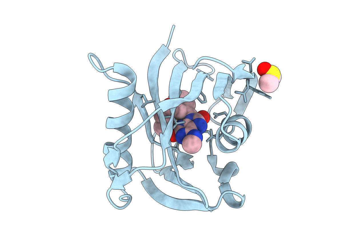 5ANU image