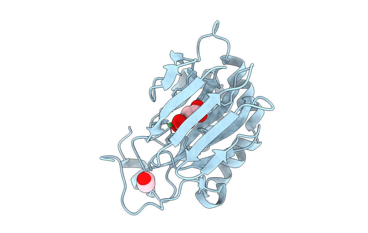 5APA image