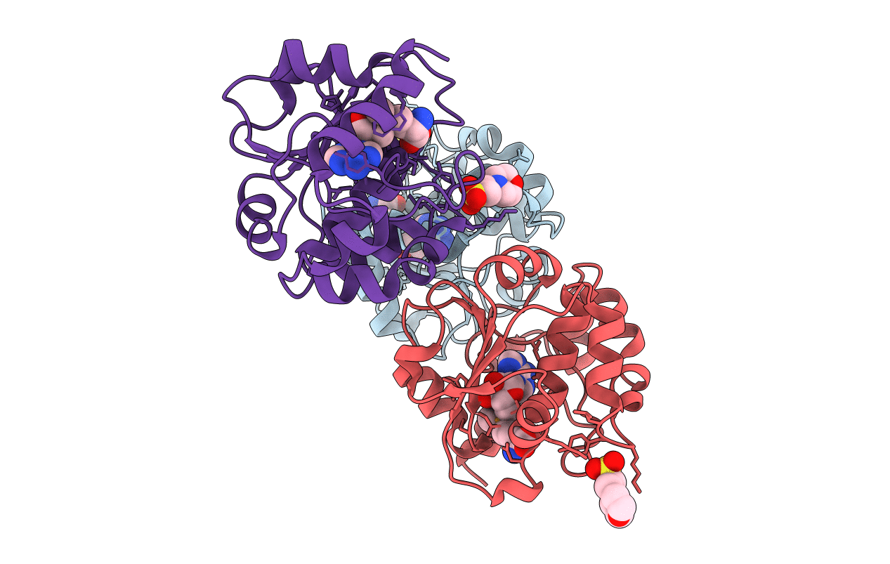 5APG image