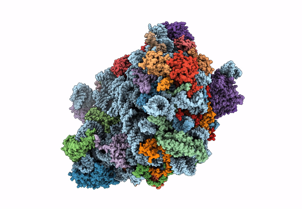 5APN image