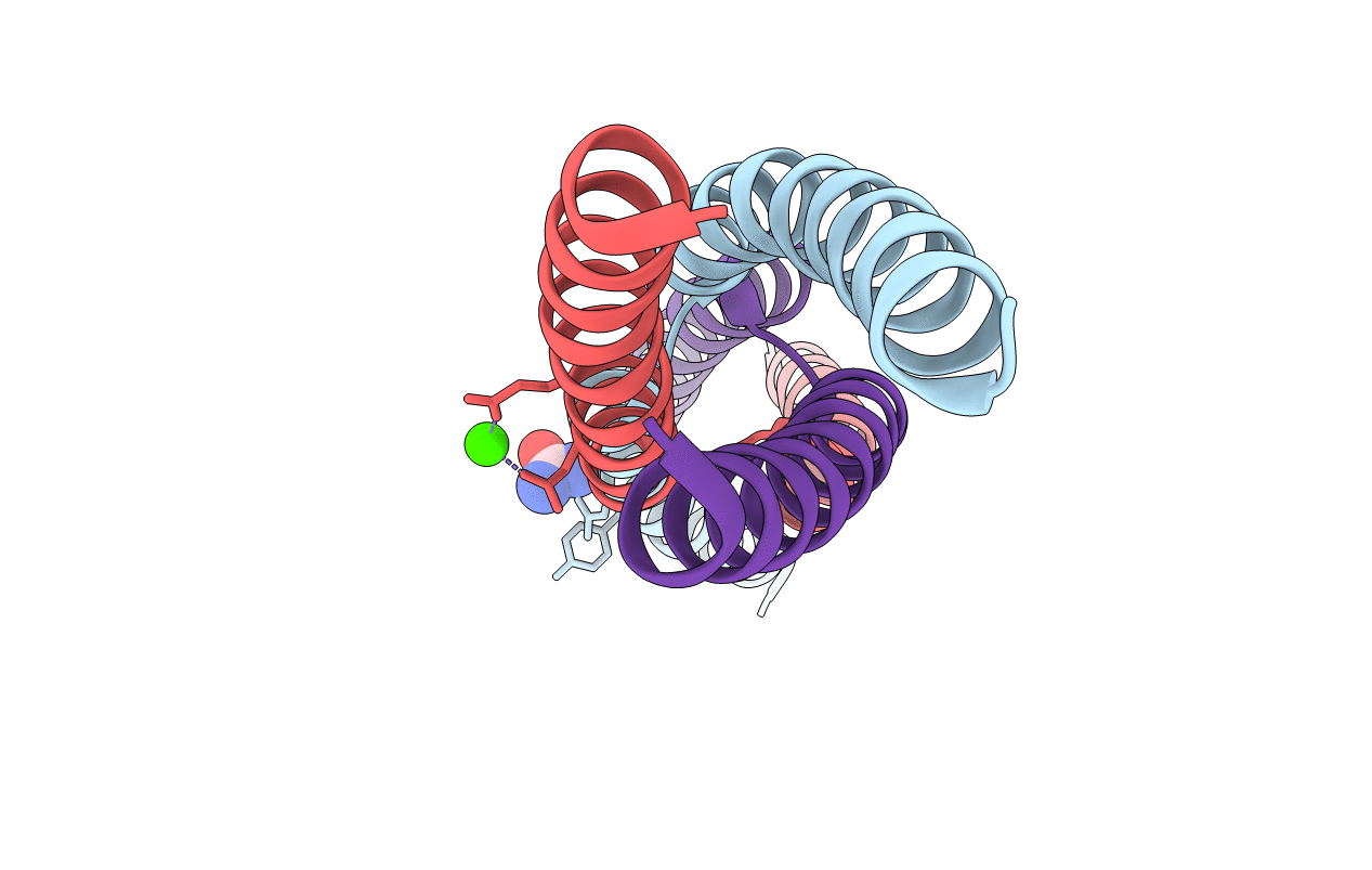 5APW image