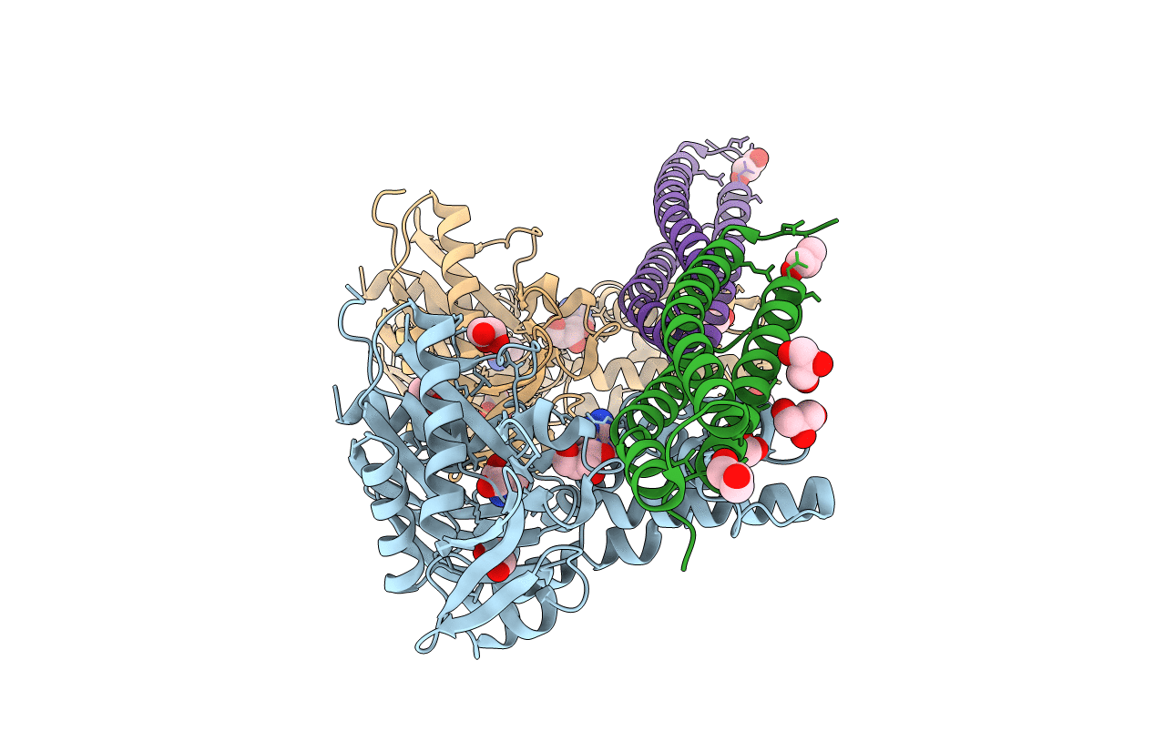 5AQF image