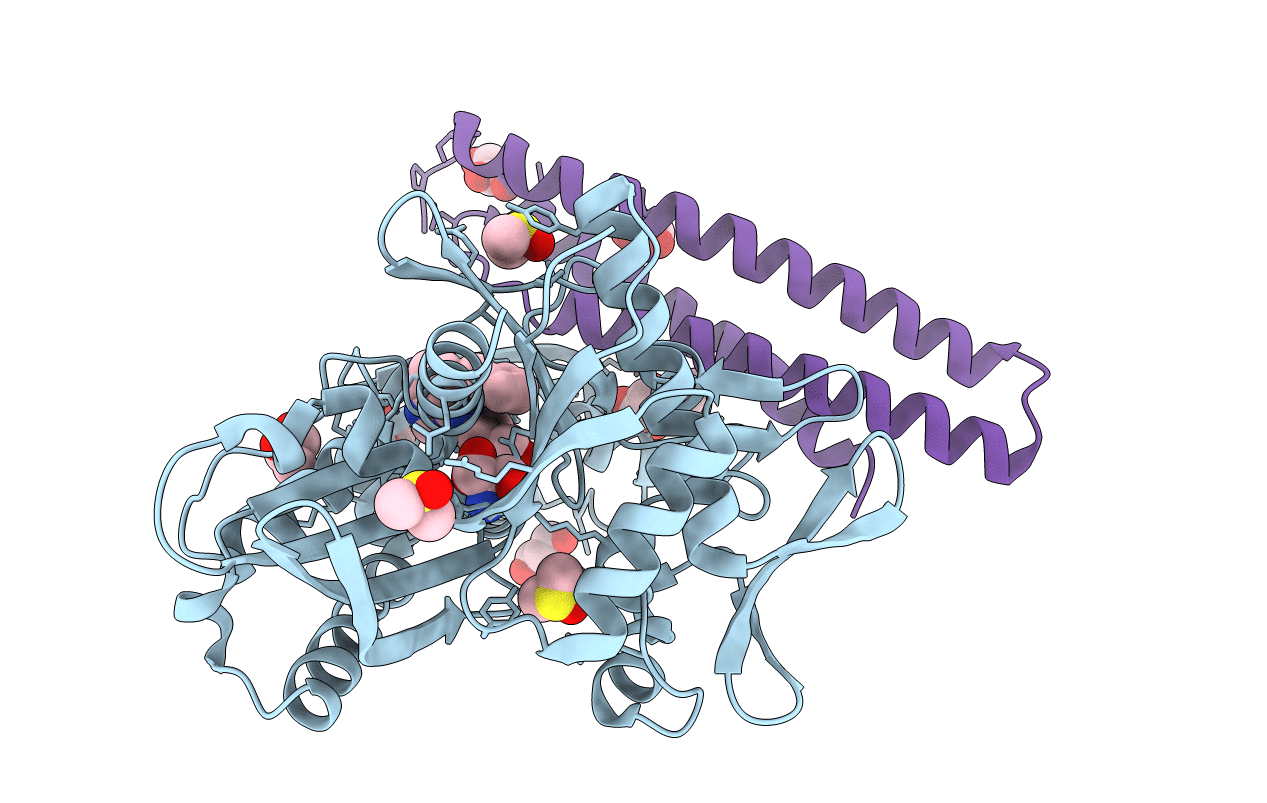 5AQV image