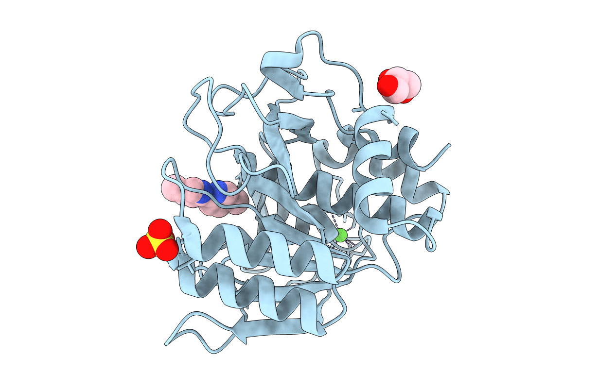 5ARC image