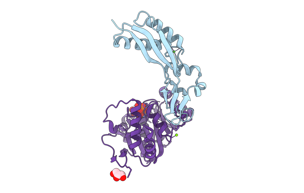 5AUO image
