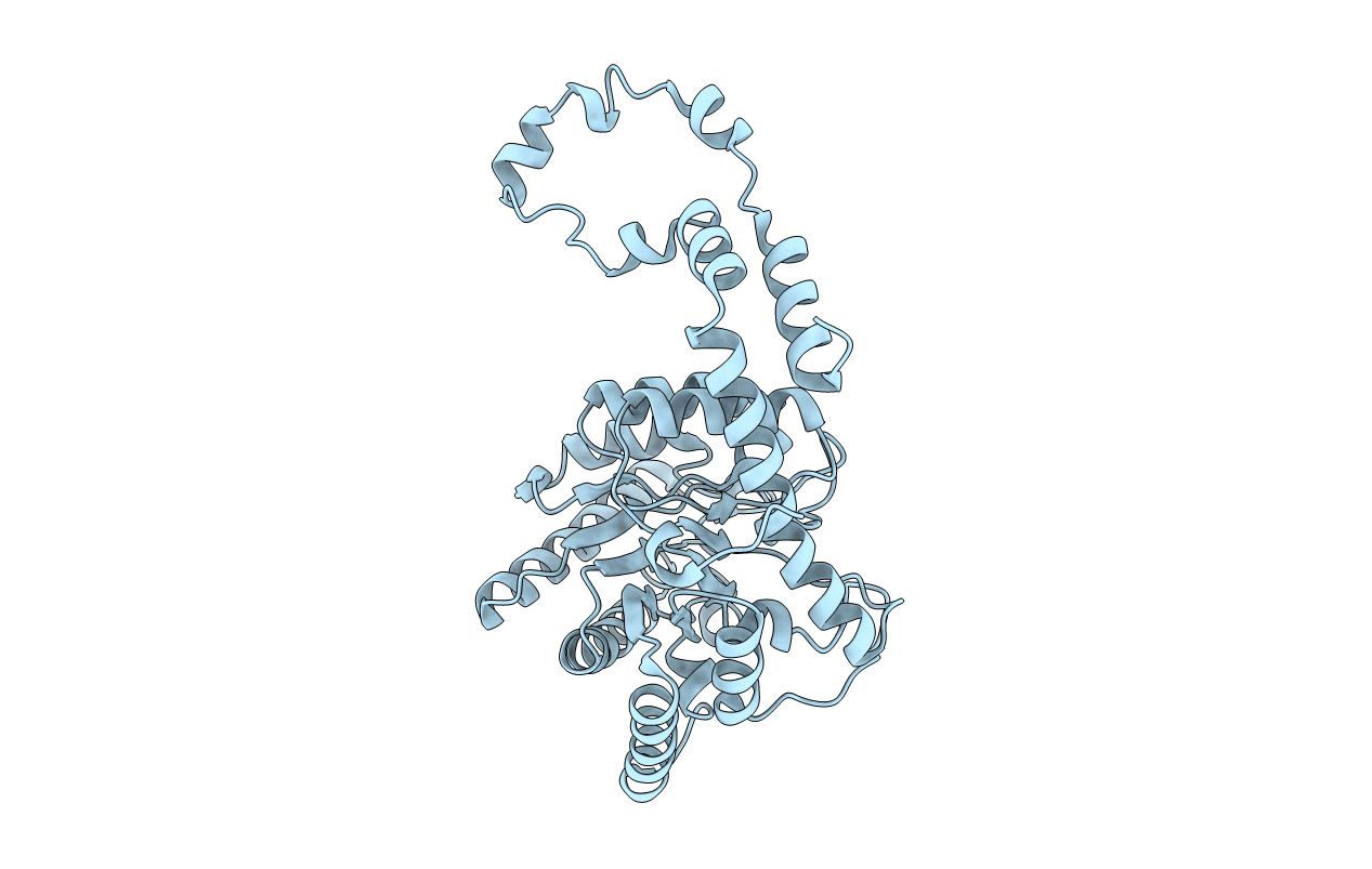 5AVH image