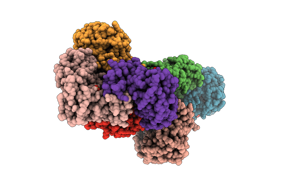 5AVM image
