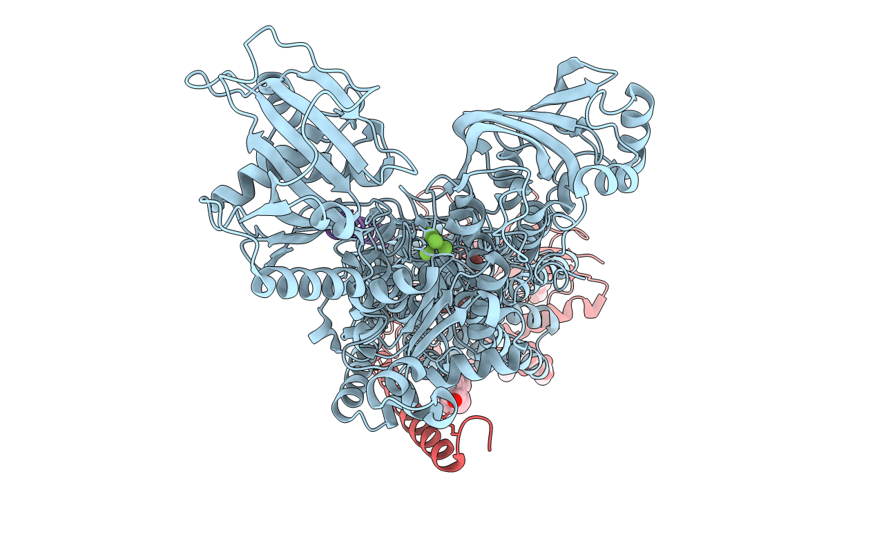 5AVZ image