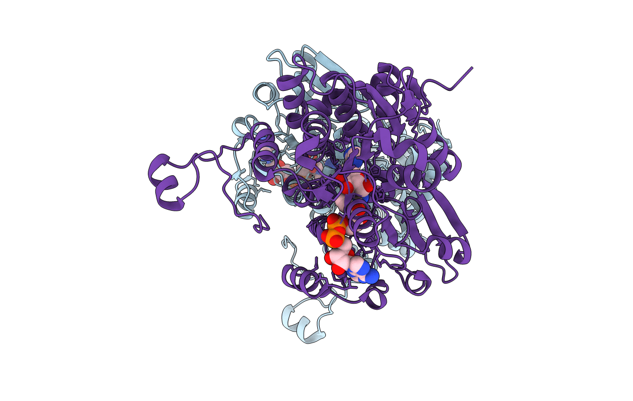 5AXA image