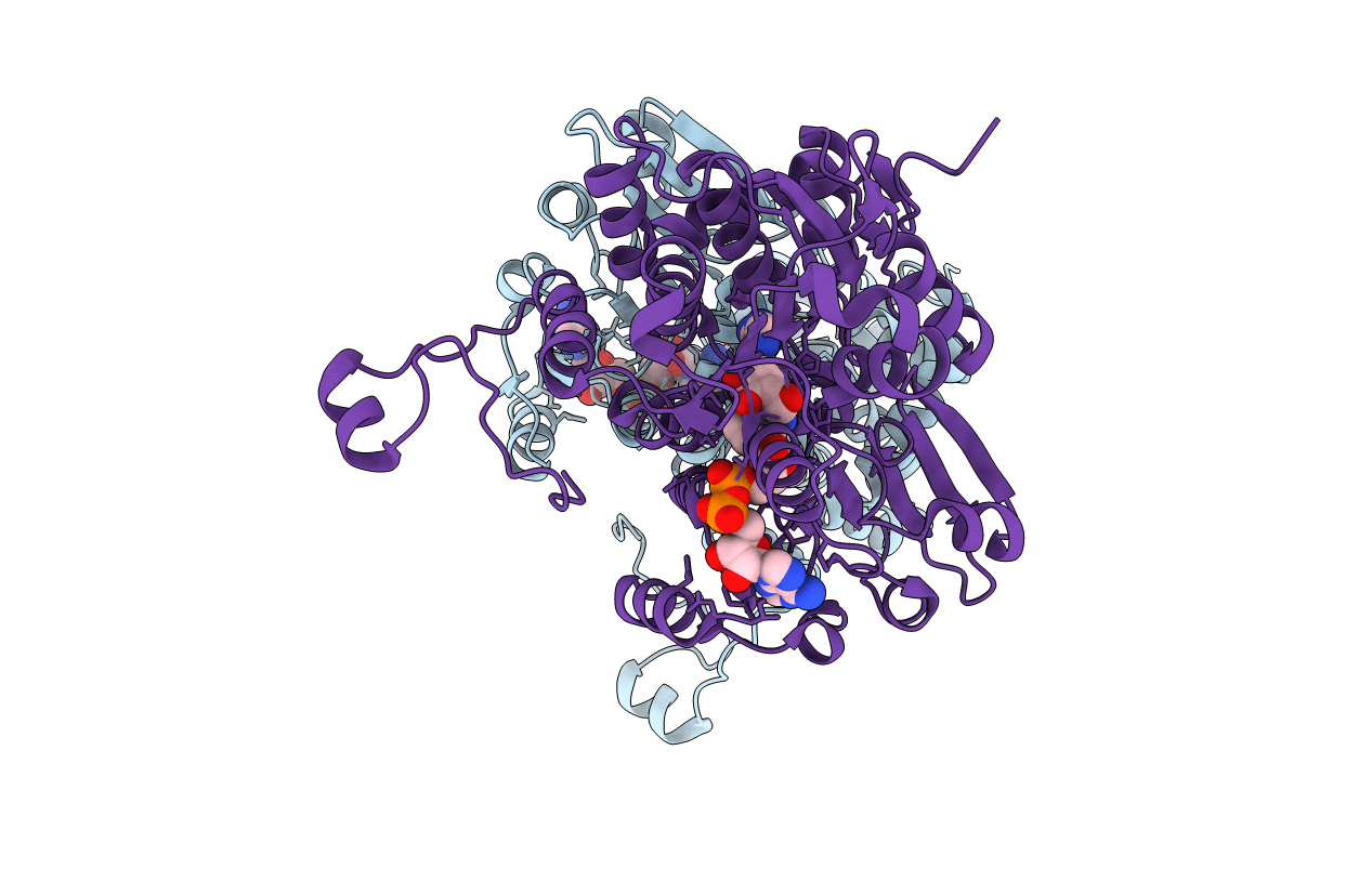 5AXC image
