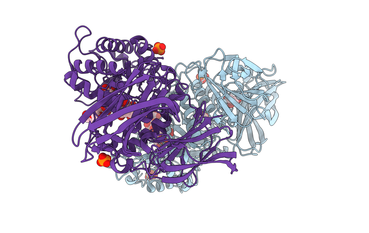 5AXH image
