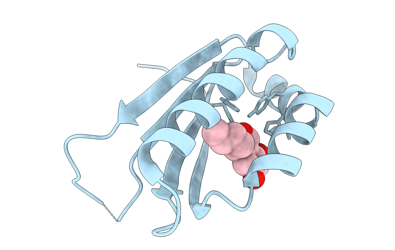 5B09 image