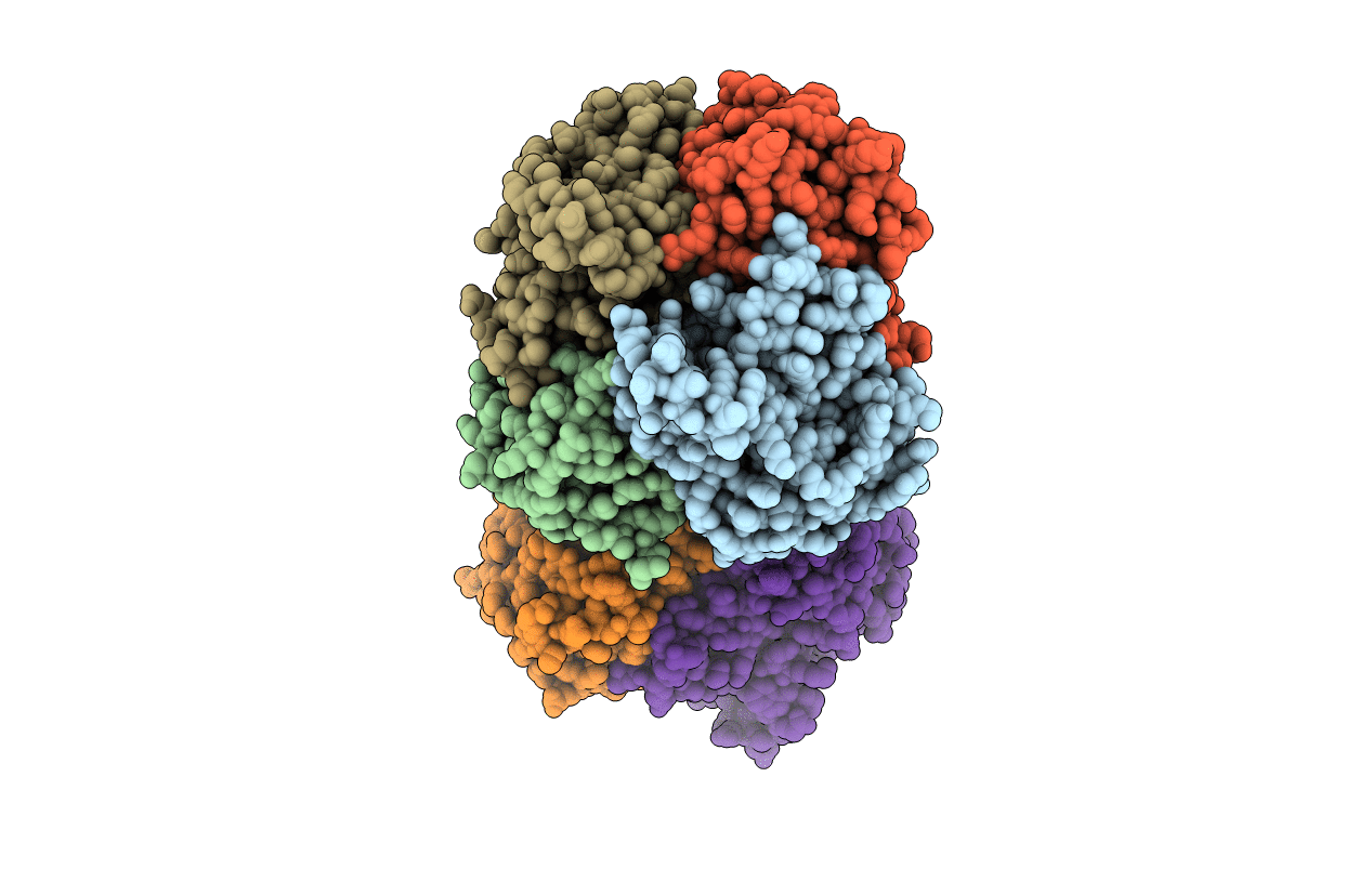 5B12 image