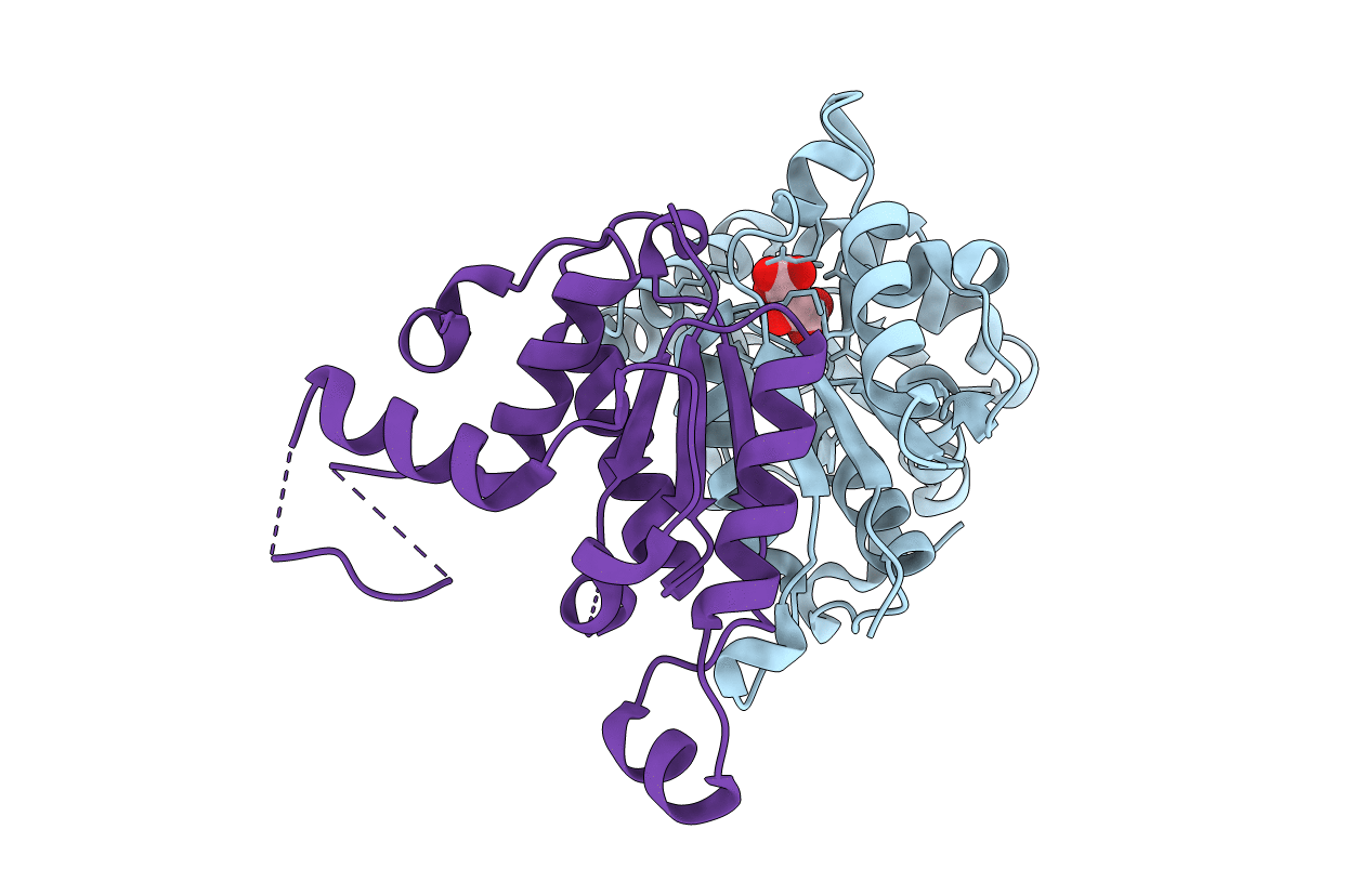 5B19 image