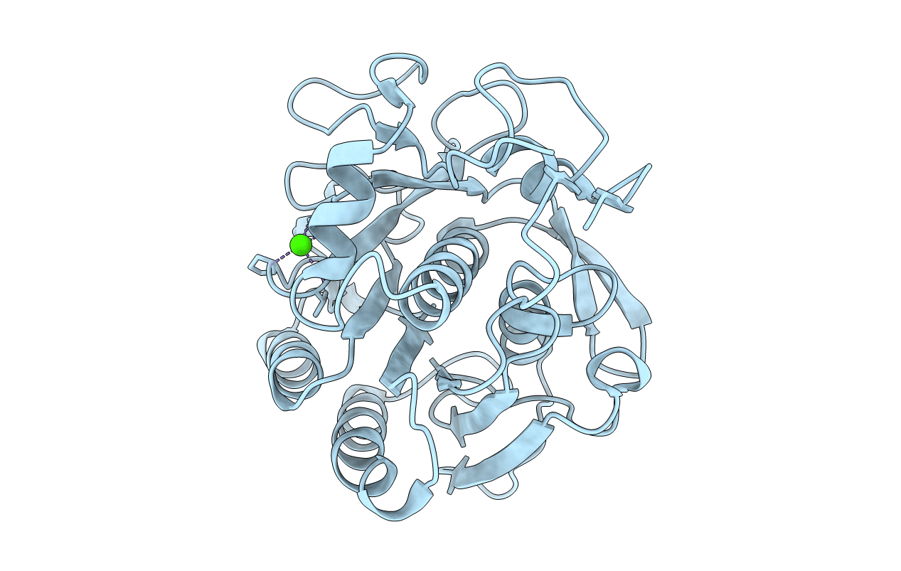 5B1E image