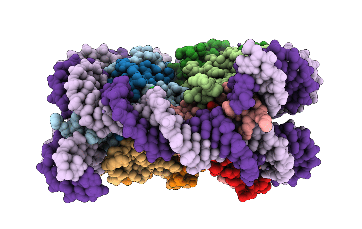 5B1L image