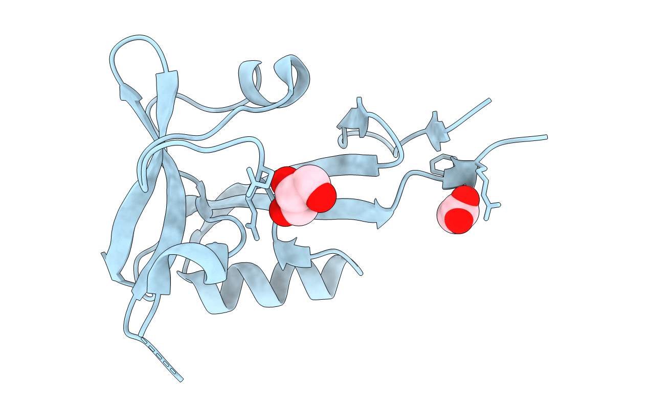 5B1R image