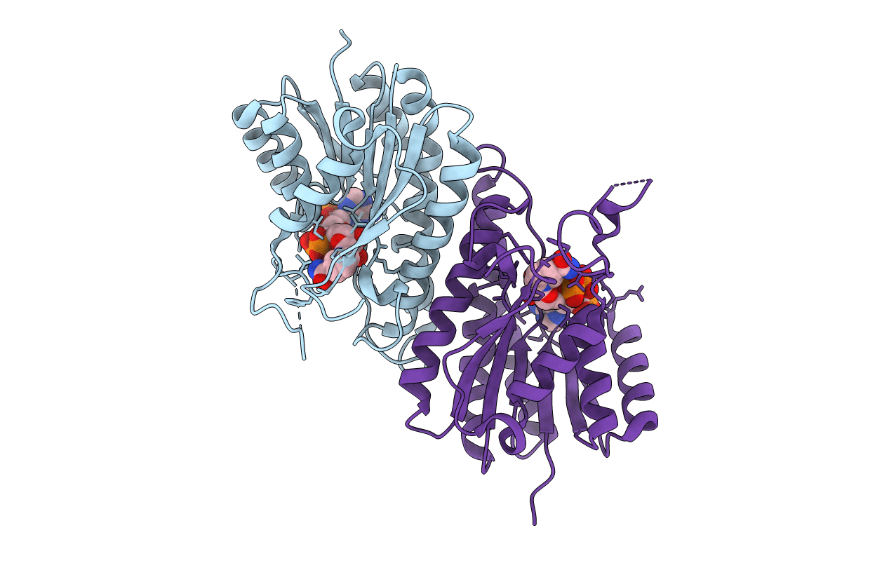 5B1Y image