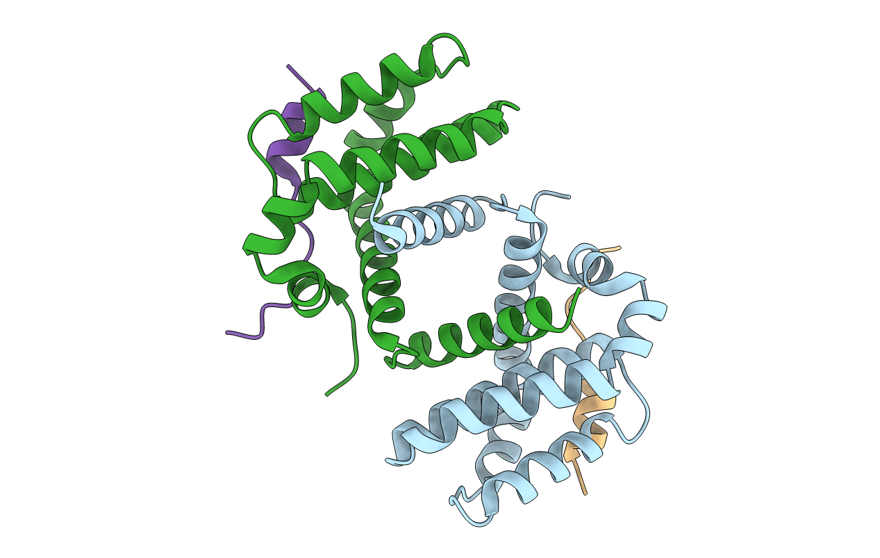 5B1Z image
