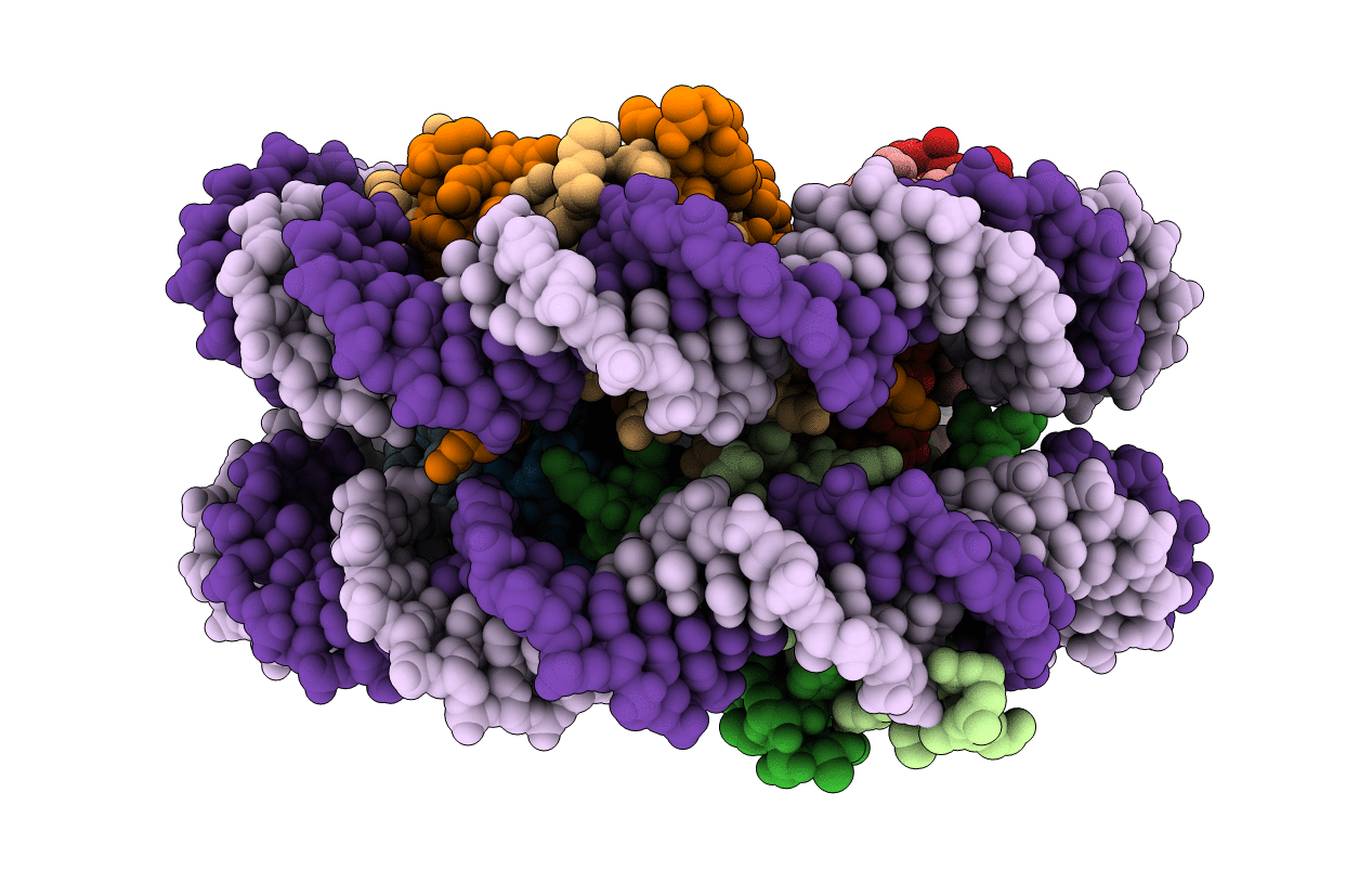 5B24 image
