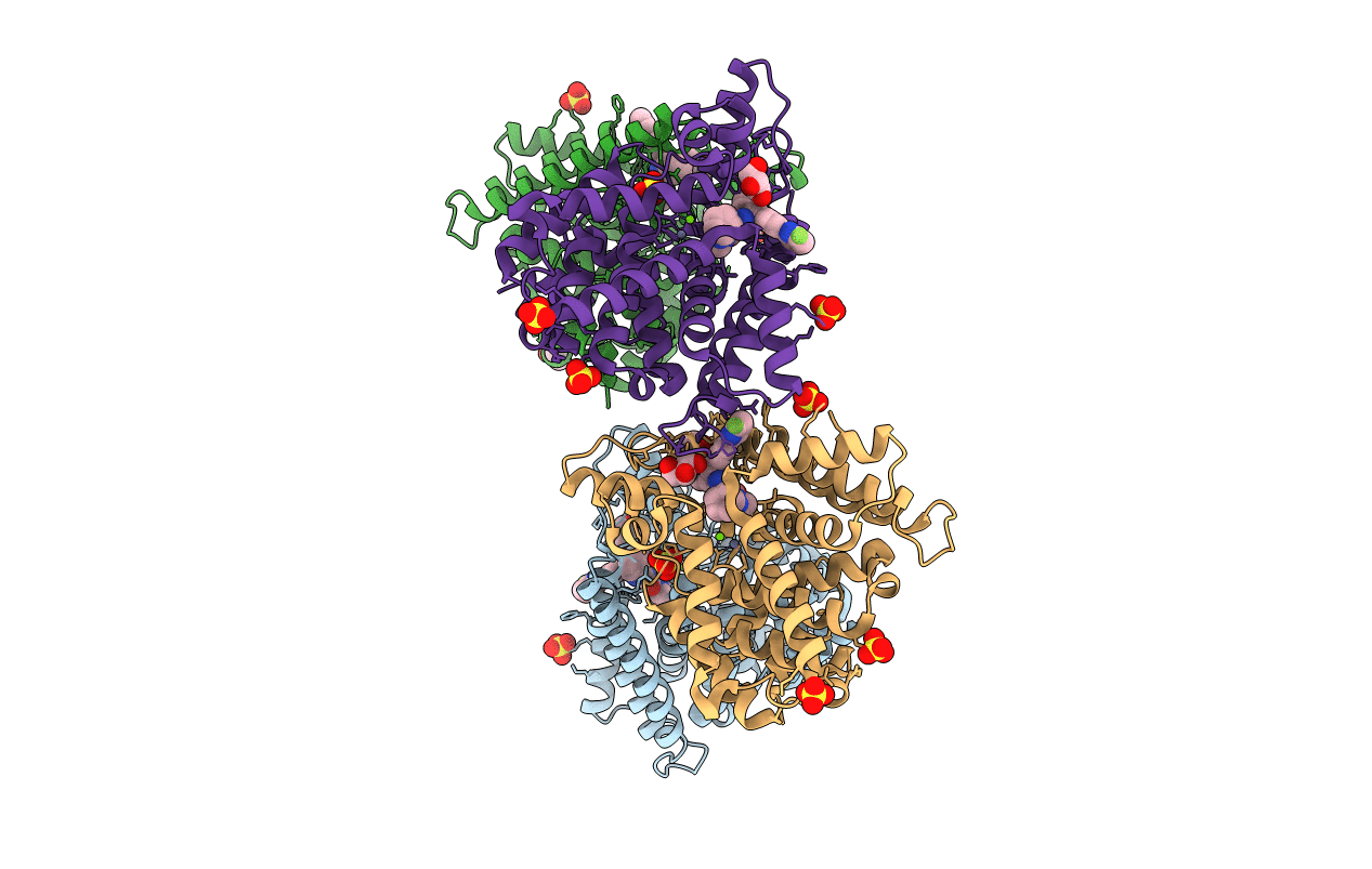 5B25 image