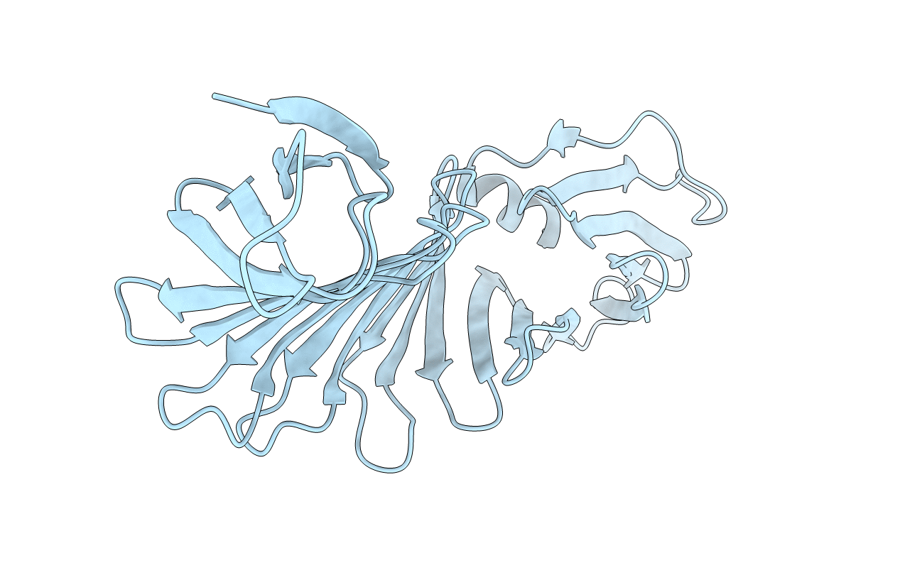 5B2A image