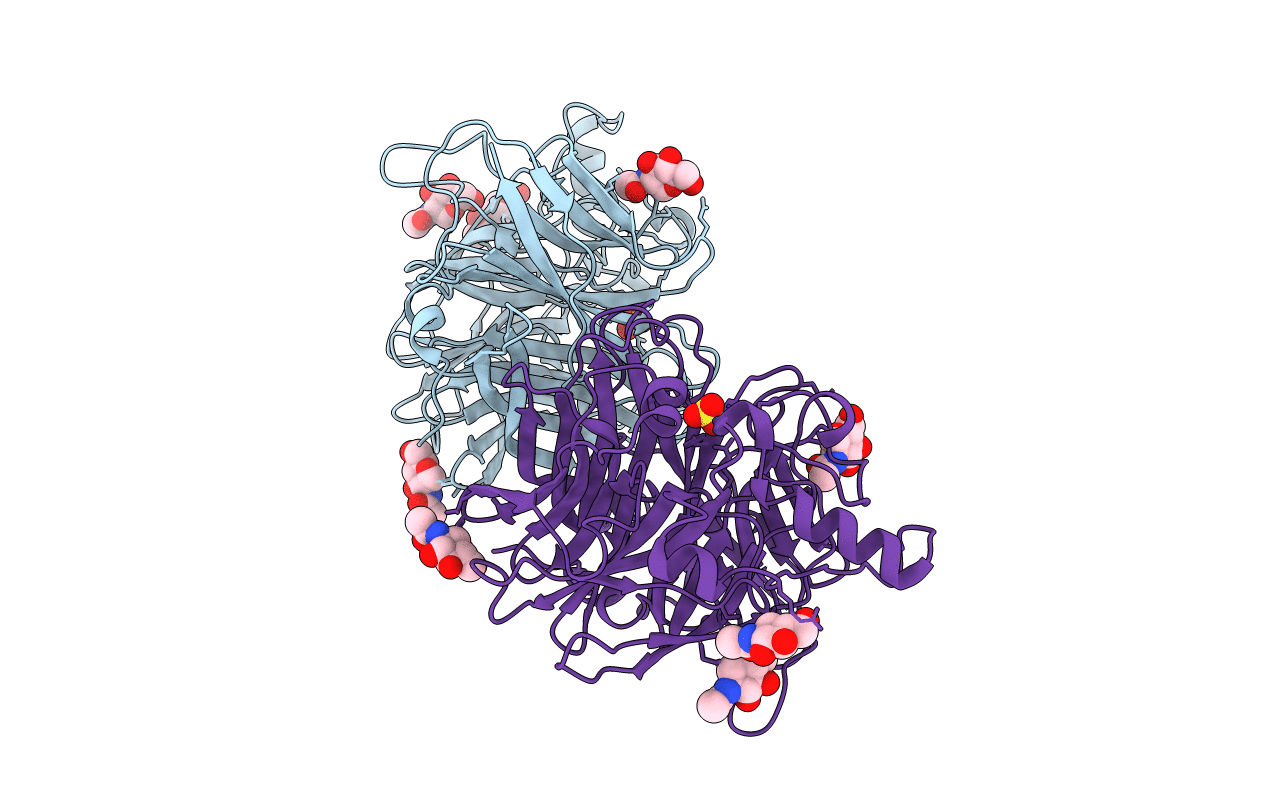 5B2C image