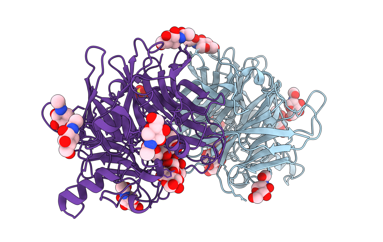5B2D image