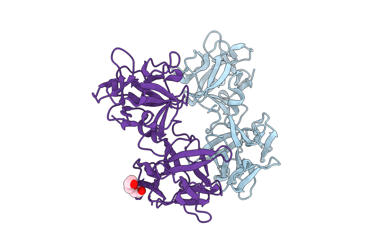 5B2H image