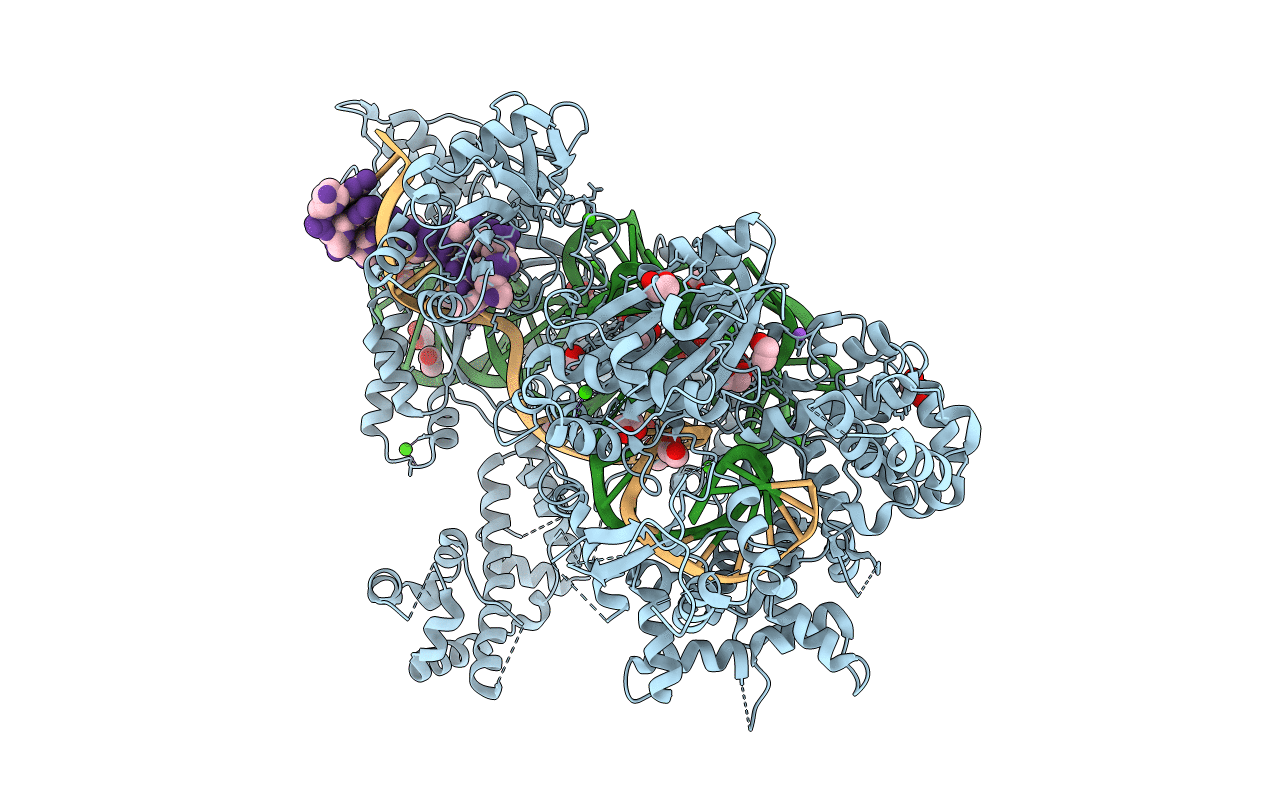 5B2O image