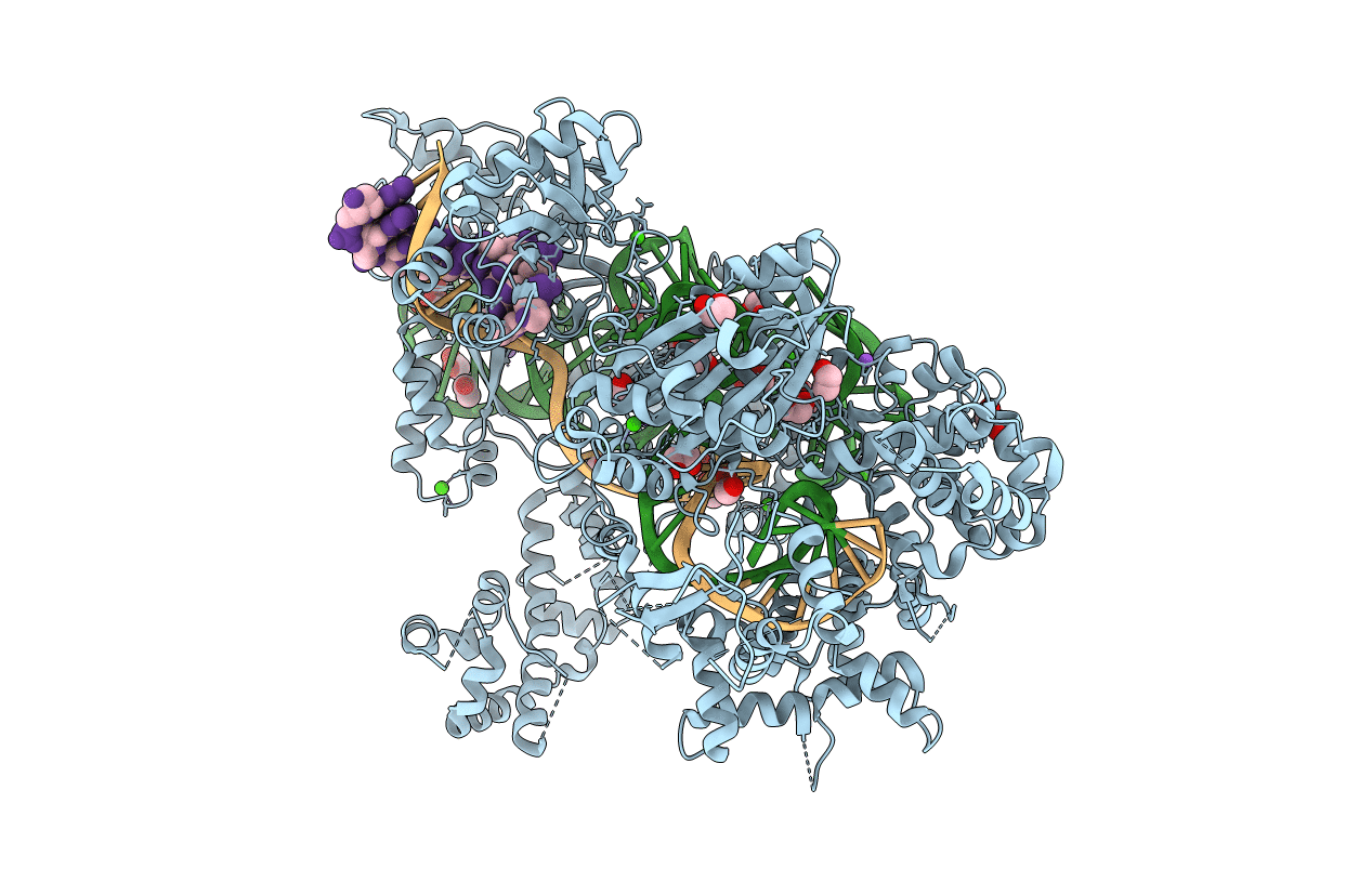5B2Q image
