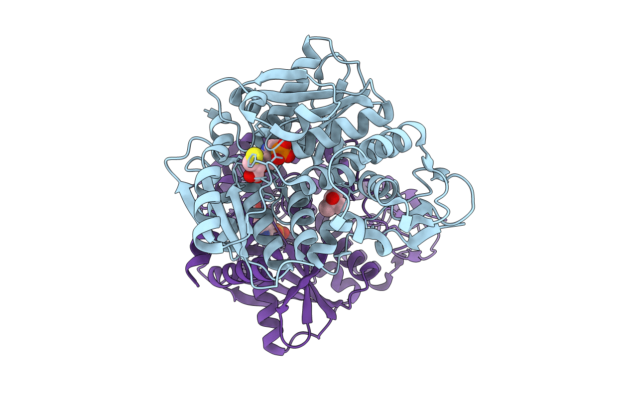 5B36 image