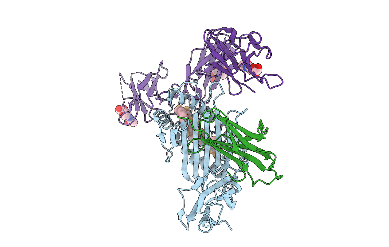 5B38 image