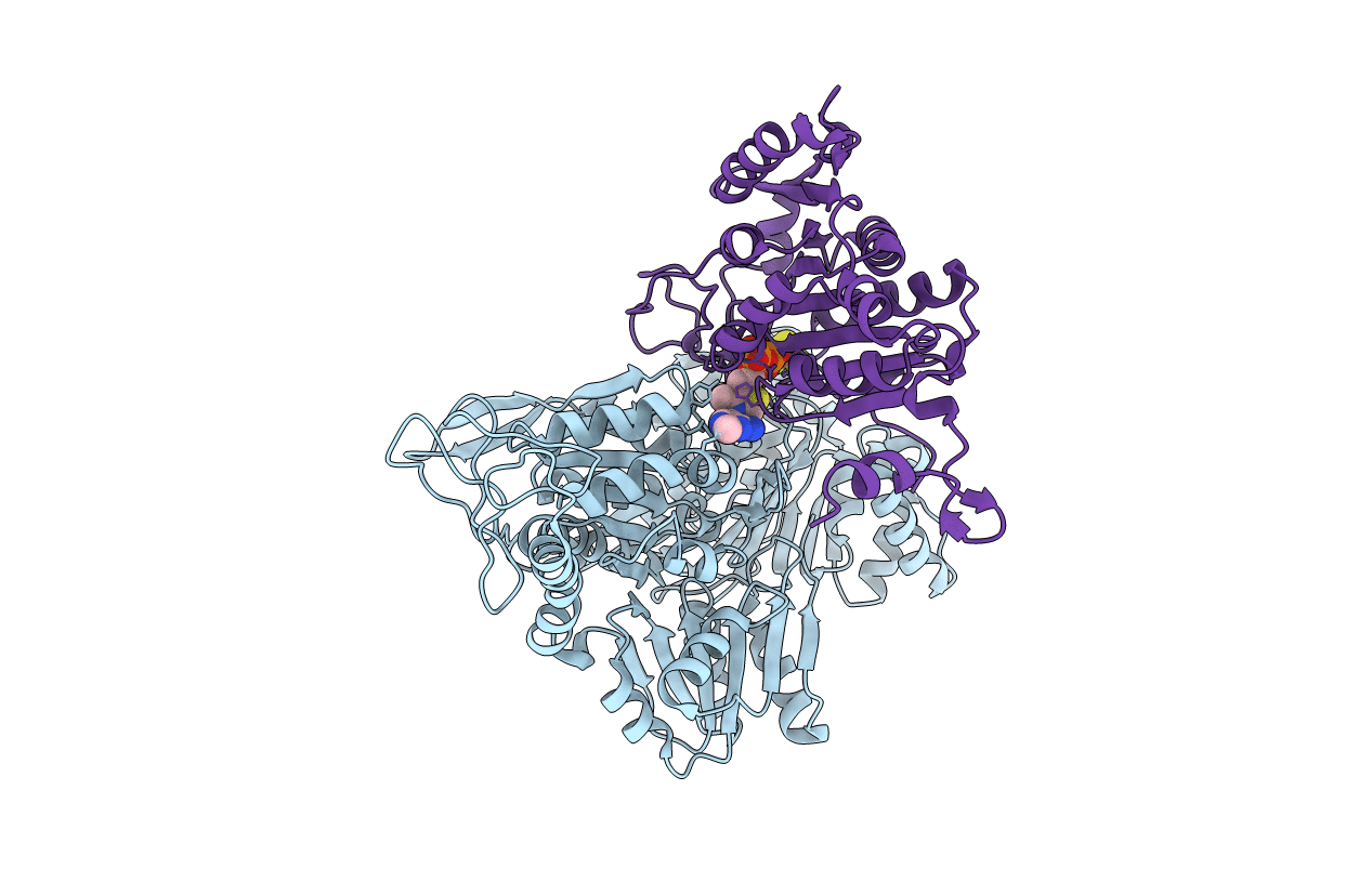 5B46 image