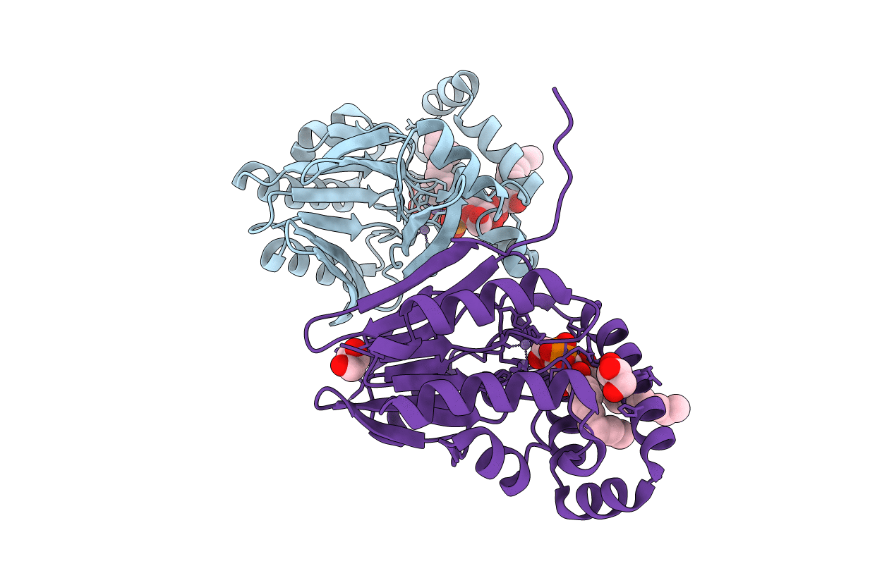 5B49 image