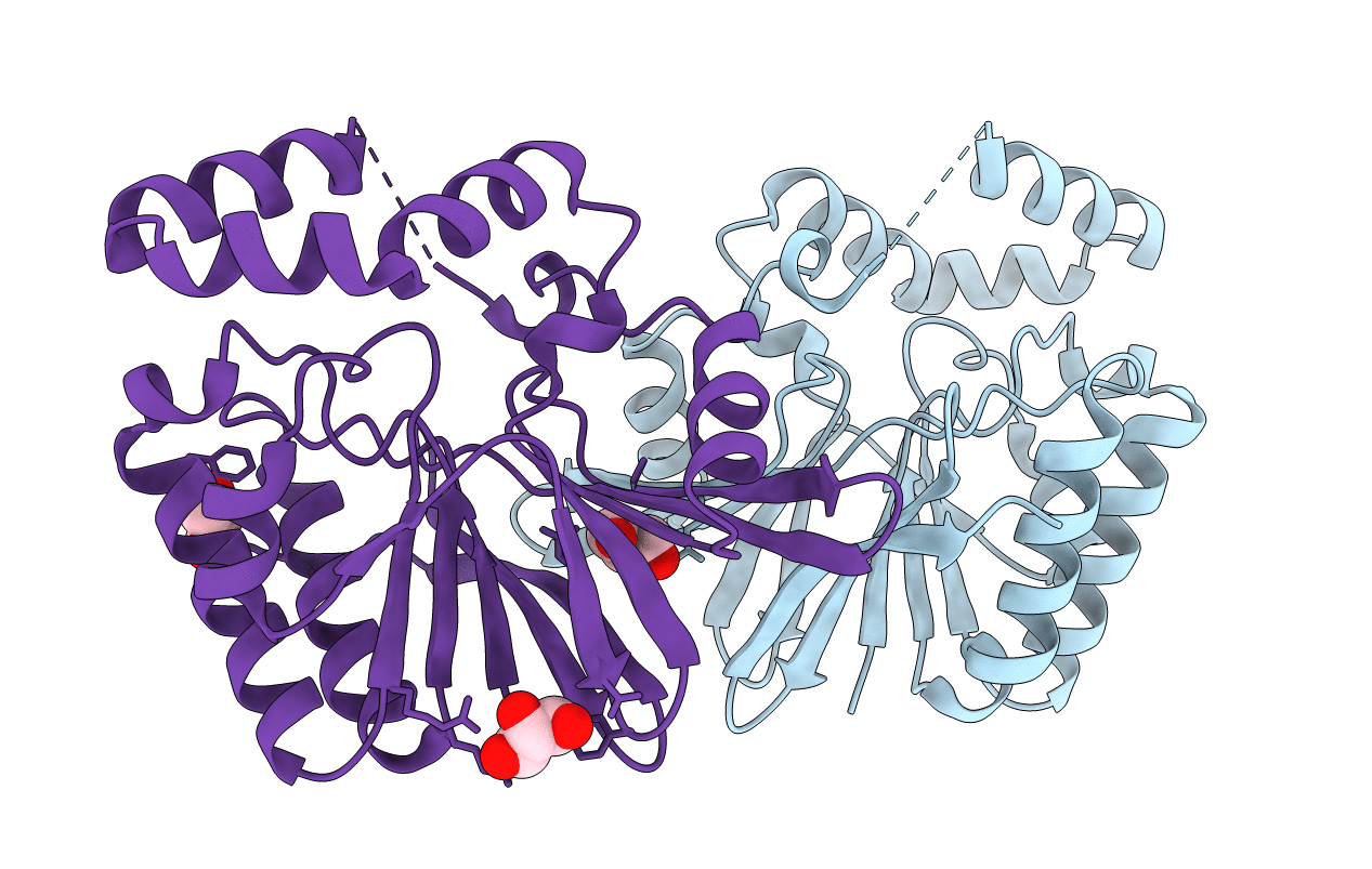 5B4D image